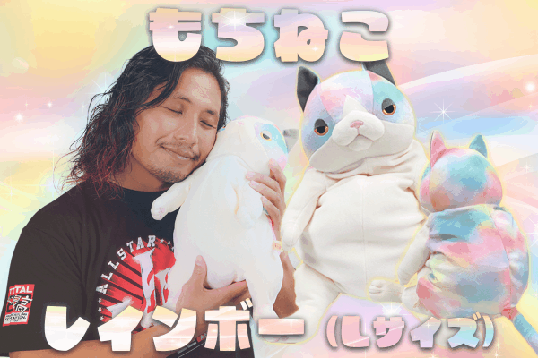 もちねこ ハチワレ・ナオル2体セット(バラ売り不可) もちねこ ハチワレ・ナオル2体セット(バラ売り不可) もちねこ