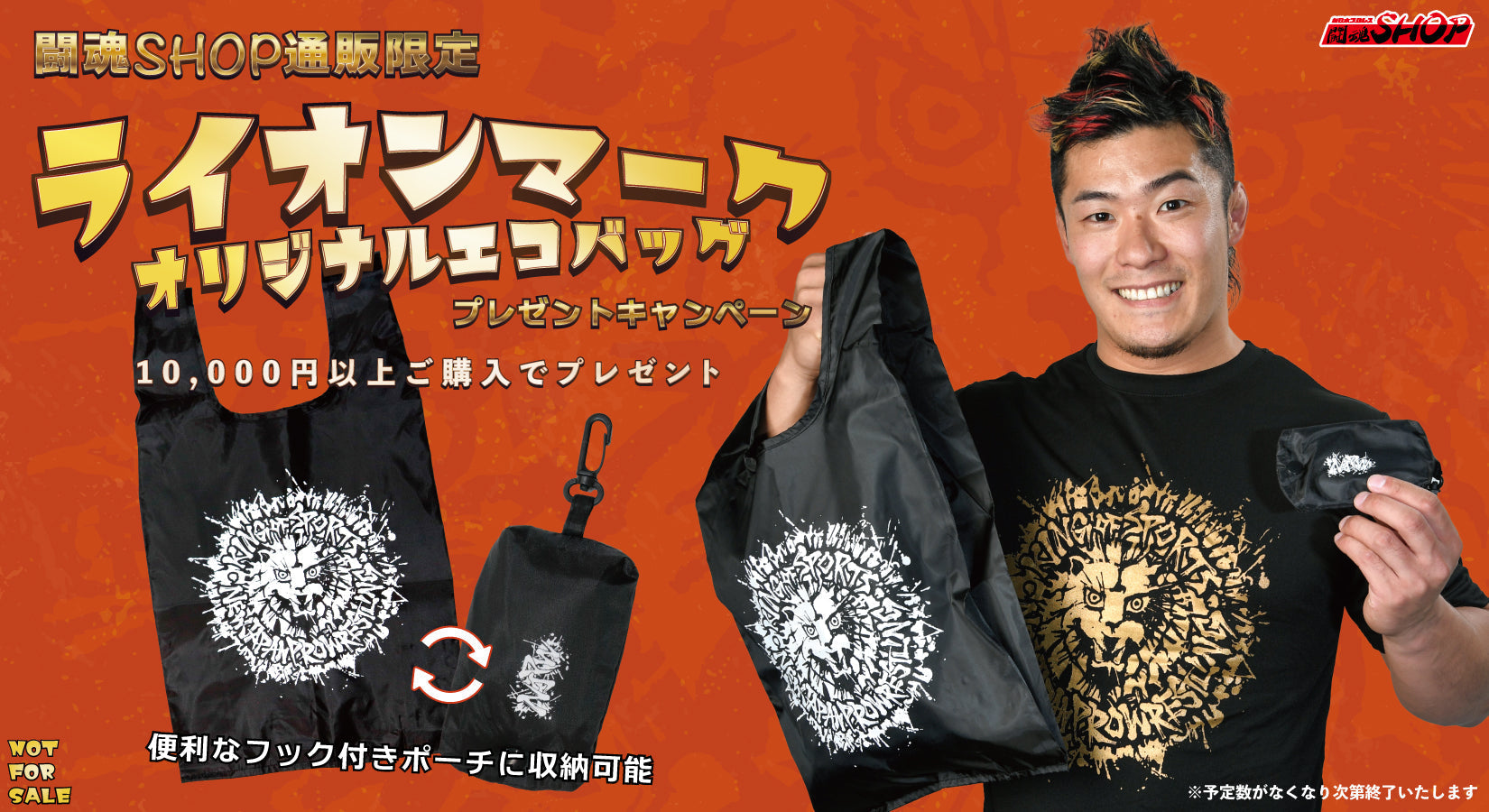 【終了しました】10,000円以上ご購入で「ライオンマーク・エコバッグ」プレゼント!※5/17追記