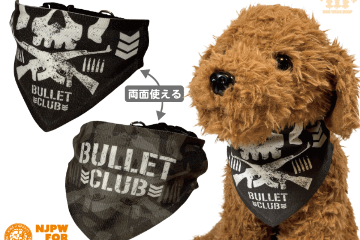 ✨再入荷✨ドッグアイテムいろいろ再入荷しました🐶💘