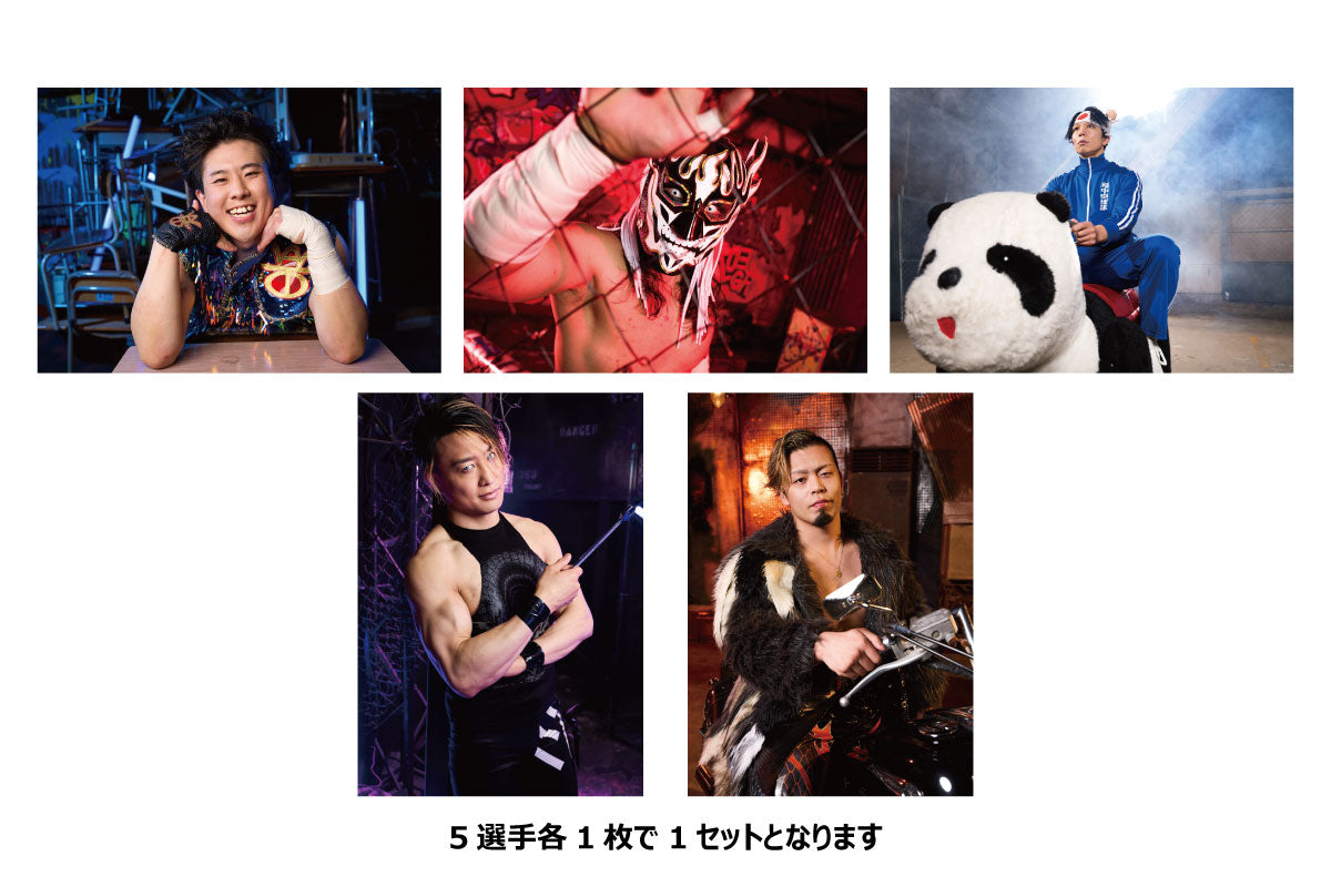 A4ポートレートセット (BOSJ33)