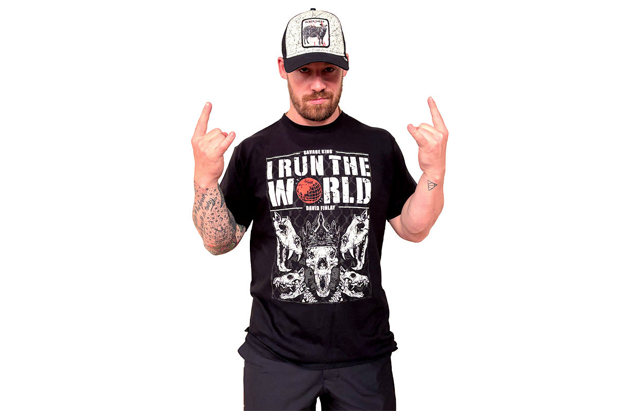 デビッド・フィンレー Tシャツ&スポーツタオル セット