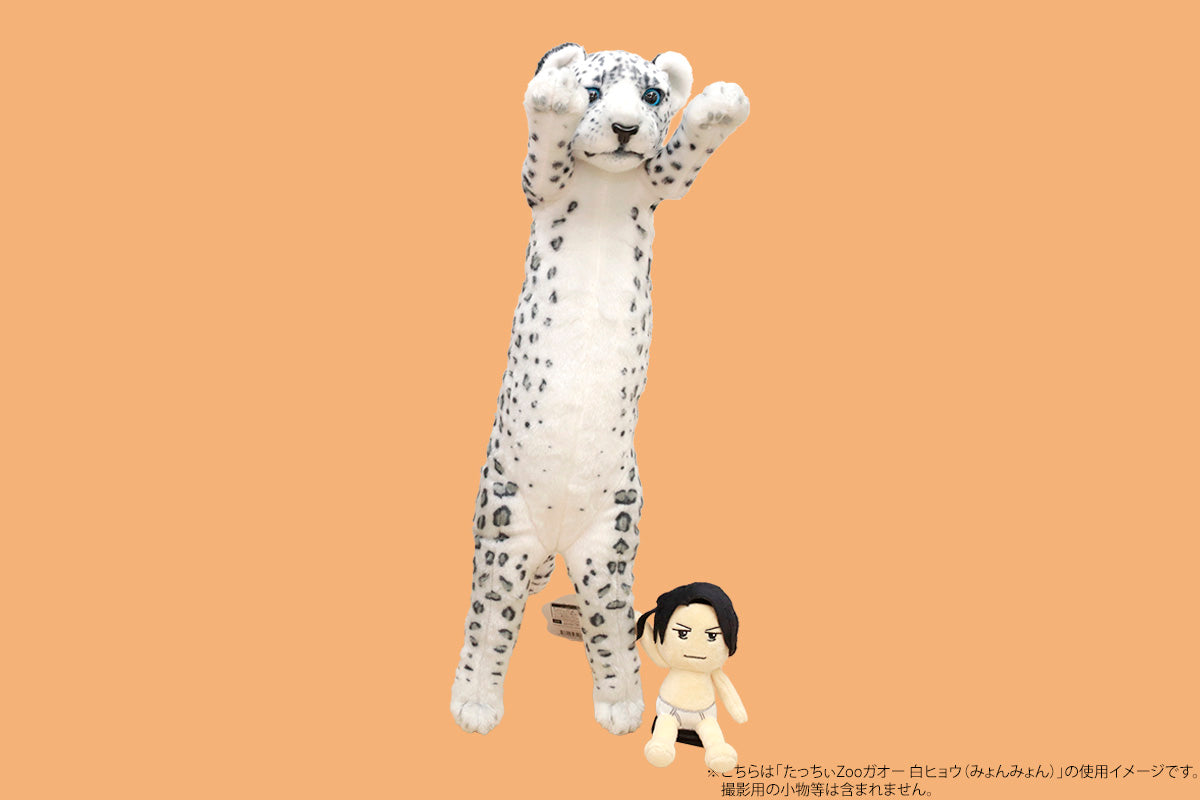 たっちぃZooガオー 白ヒョウ(みょんみょん)