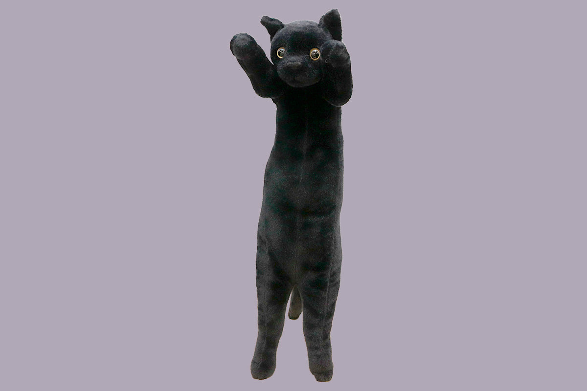 たっちぃZooにゃんこ 黒猫(くろみょん)