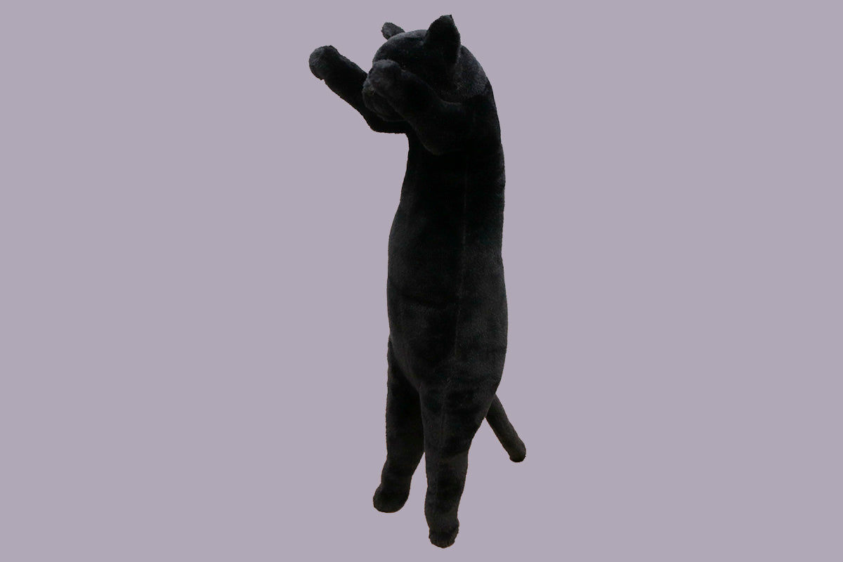 たっちぃZooにゃんこ 黒猫(くろみょん)