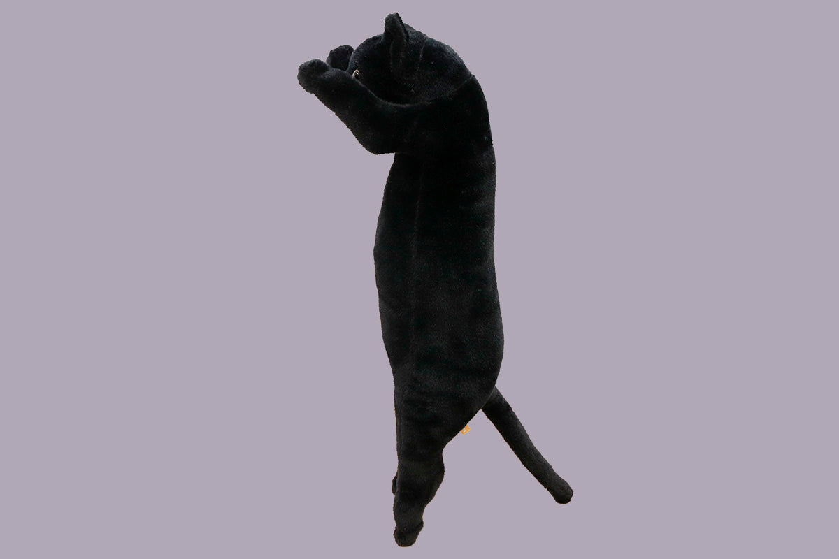 たっちぃZooにゃんこ 黒猫(くろみょん)