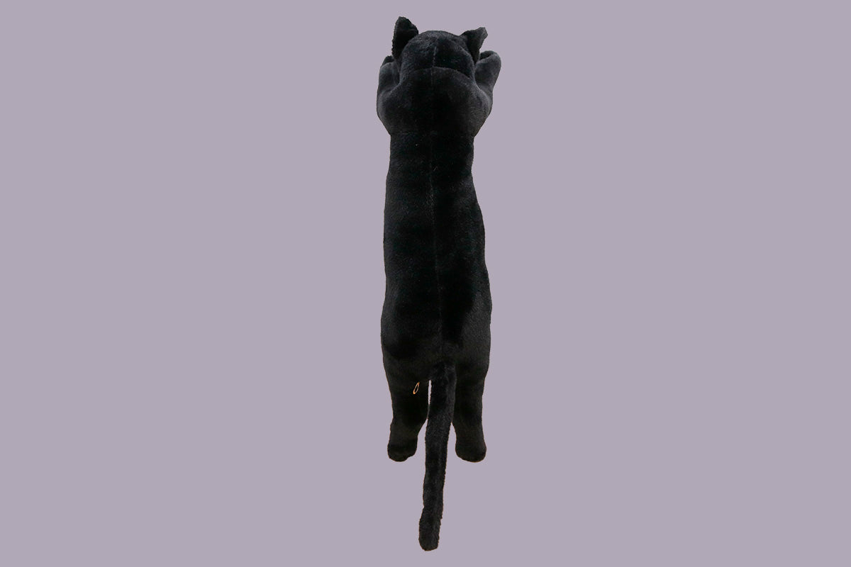たっちぃZooにゃんこ 黒猫(くろみょん)