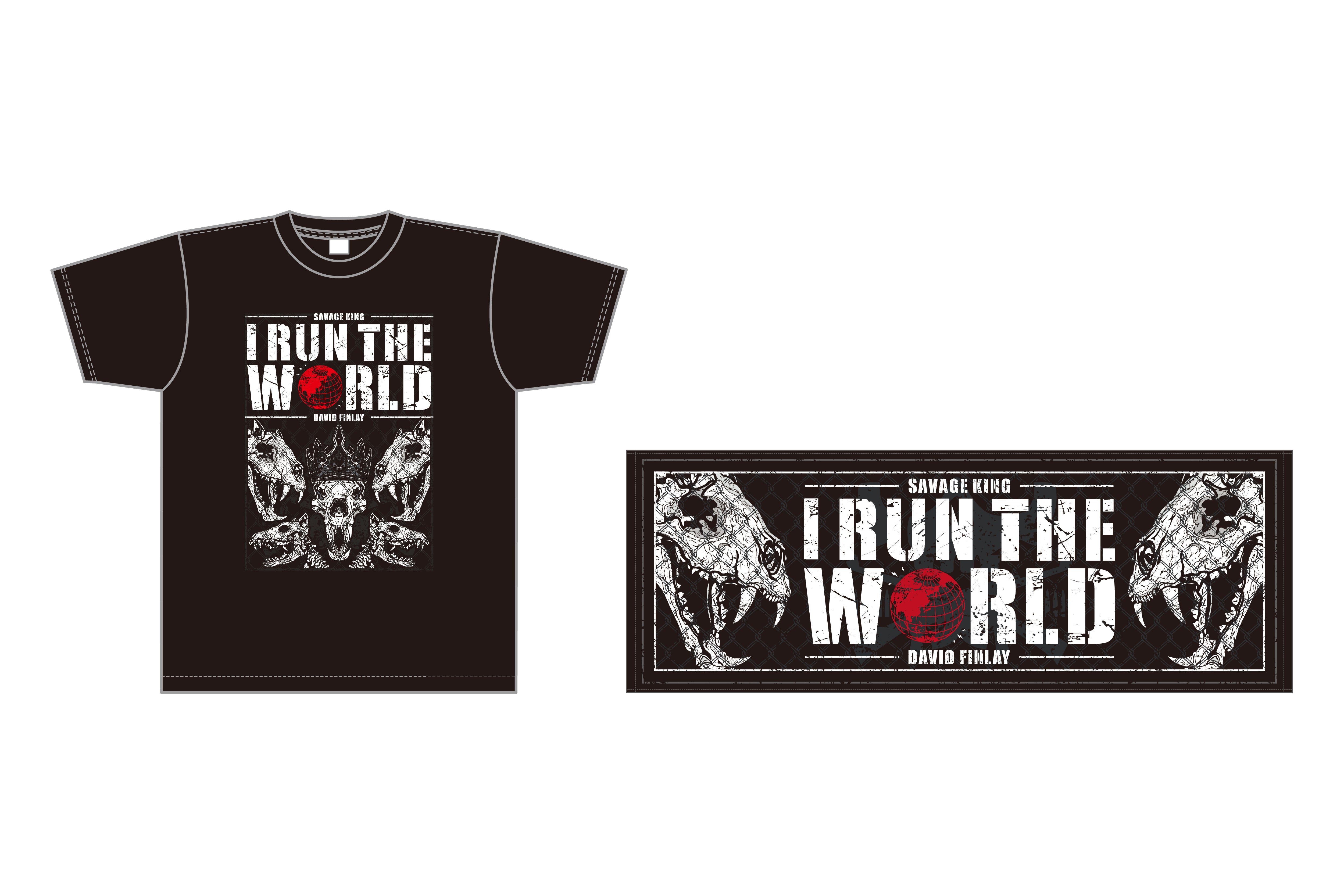 デビッド・フィンレー Tシャツ&スポーツタオル セット