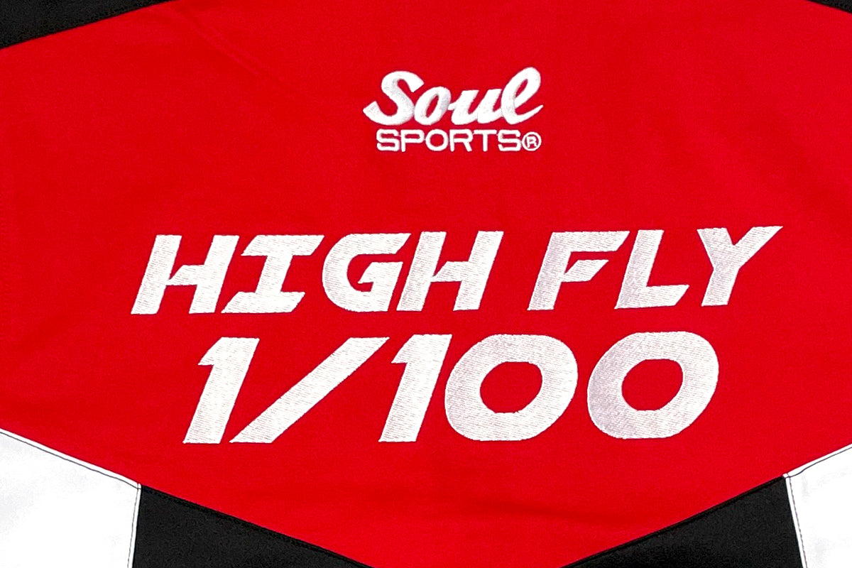 棚橋弘至 SOUL SPORTS ジャージセットアップ