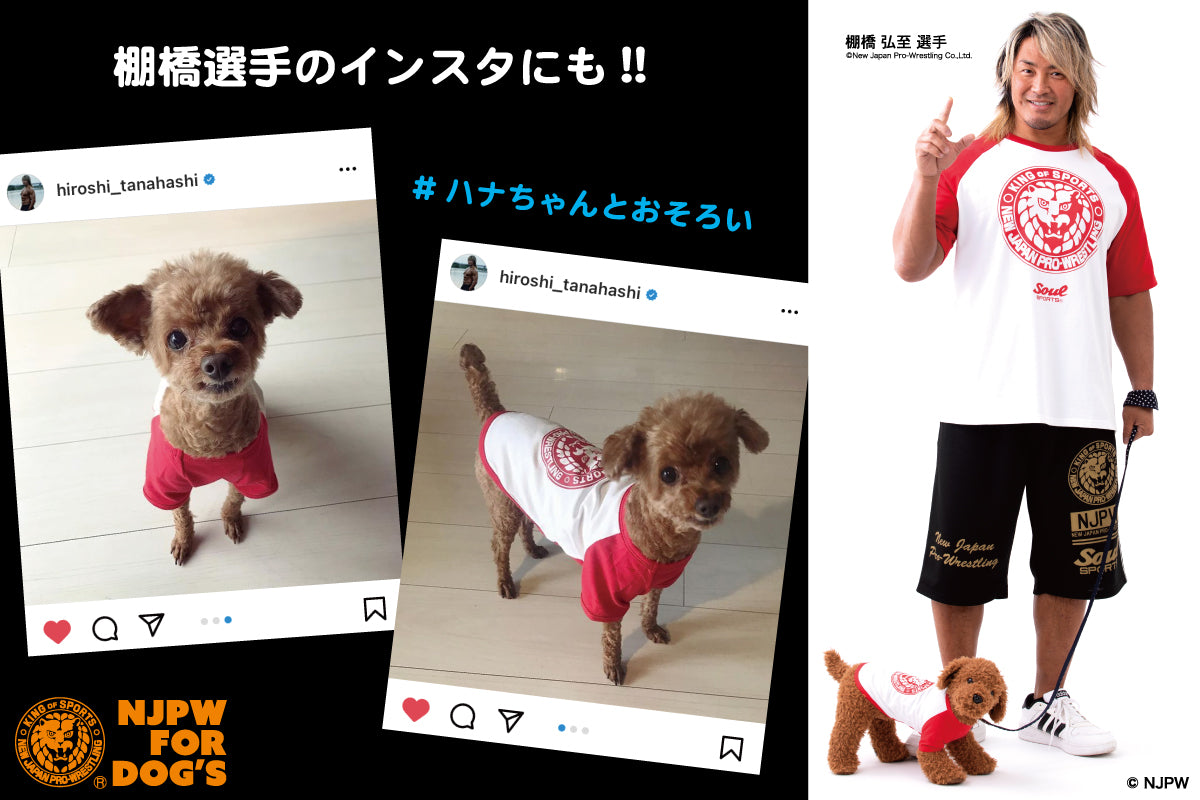 ドッグウェア ラグランTシャツ(袖有り/レッド)