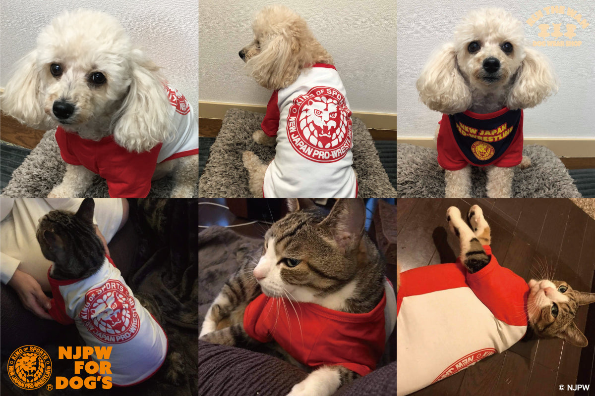 ドッグウェア ラグランTシャツ(袖有り/レッド)