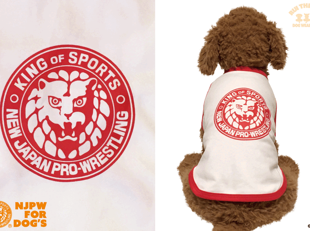 ✨再入荷✨Yuto-Ice×ロリクレ！ドッグアイテム🐶🦴🐾