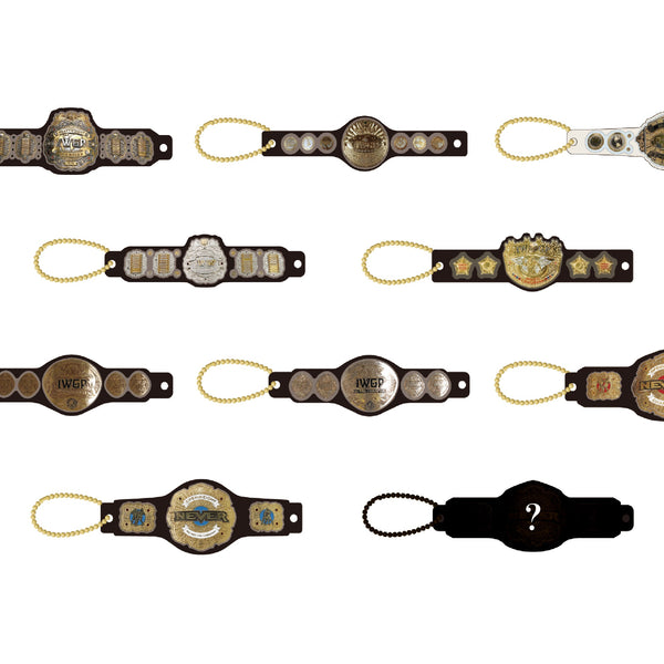 ✨再入荷✨NJPW チャンピオンベルト ランダムアクリルボールチェーン