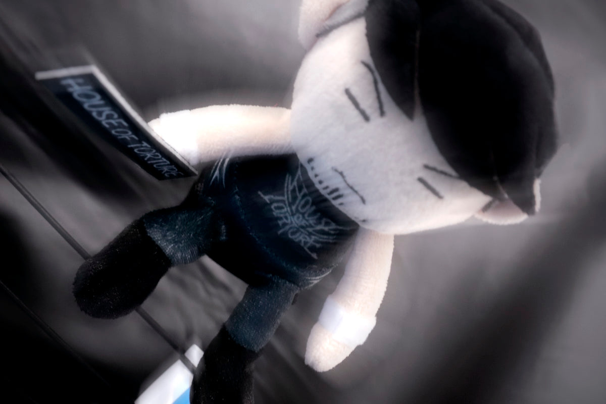 ぴょんすけ 成田蓮