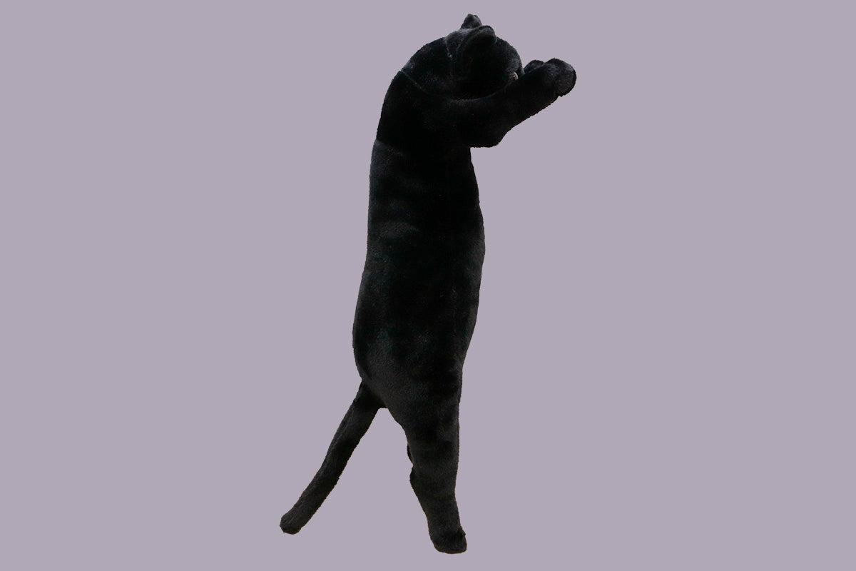 たっちぃZooにゃんこ 黒猫（くろみょん）