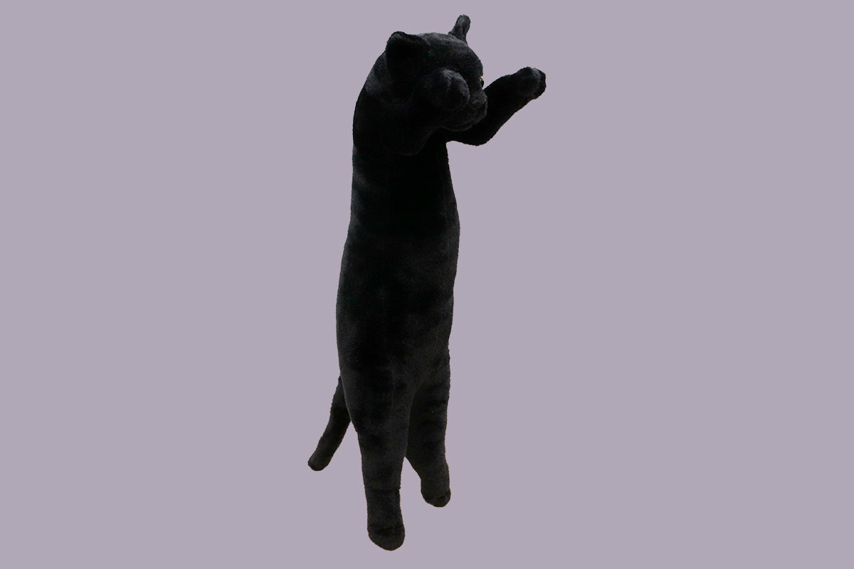 たっちぃZooにゃんこ 黒猫（くろみょん）