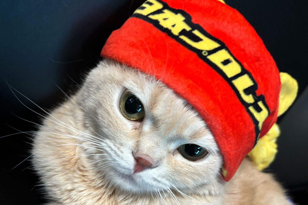 新日本プロレス なりきりリバーシブルヘアバンド（ライオンマーク）