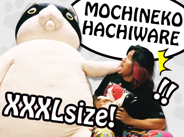 もちねこ ハチワレ（XXXL）