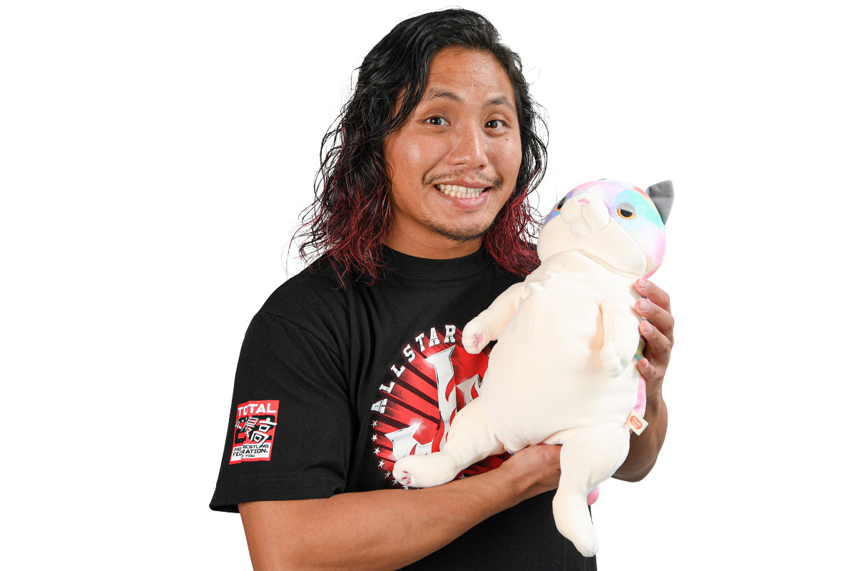 当選品！】仕事猫 おすわりBIGぬいぐるみ レインボーブルゾンver